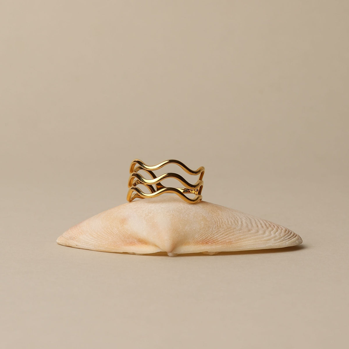 Ocean Ring